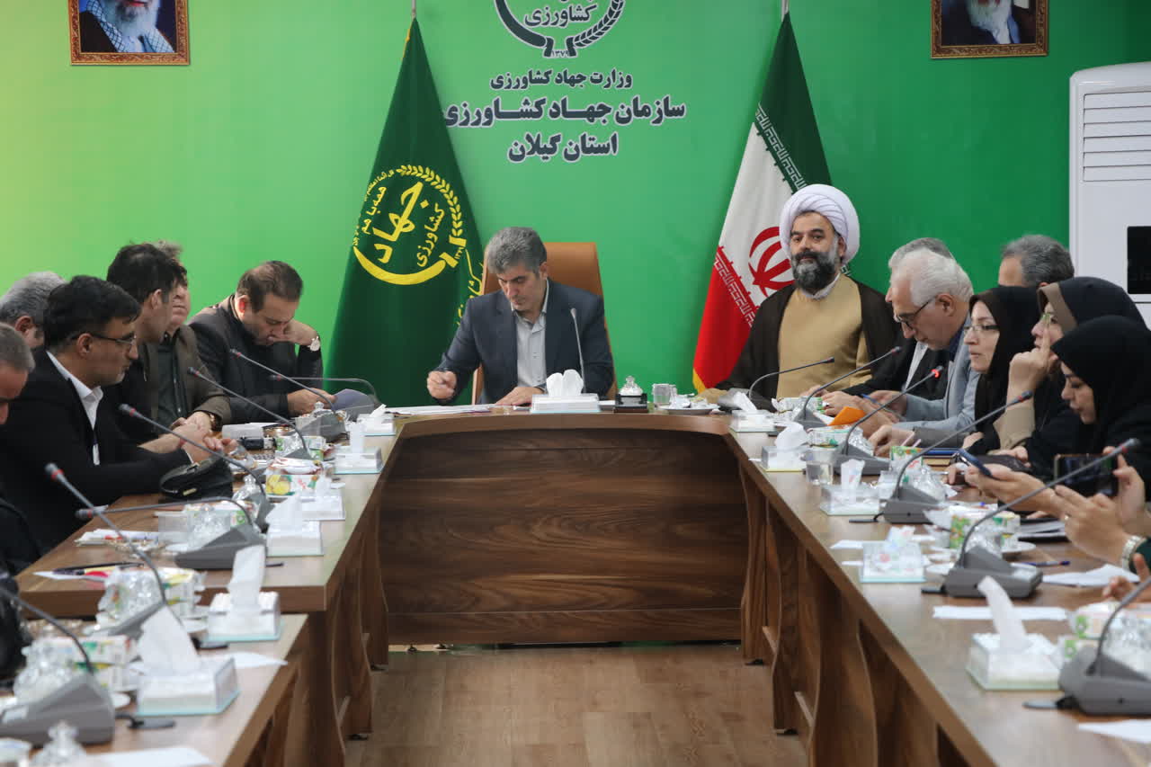 تولید قریب به یک میلیون و 700 هزار تن برنج از شالیزارهای گیلان